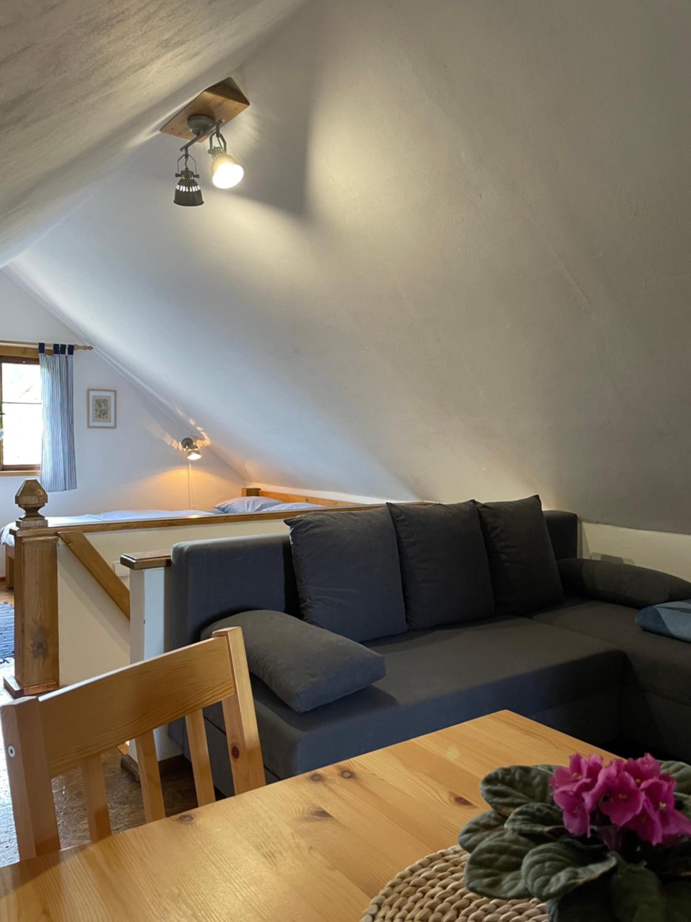 Apartmán U Růži