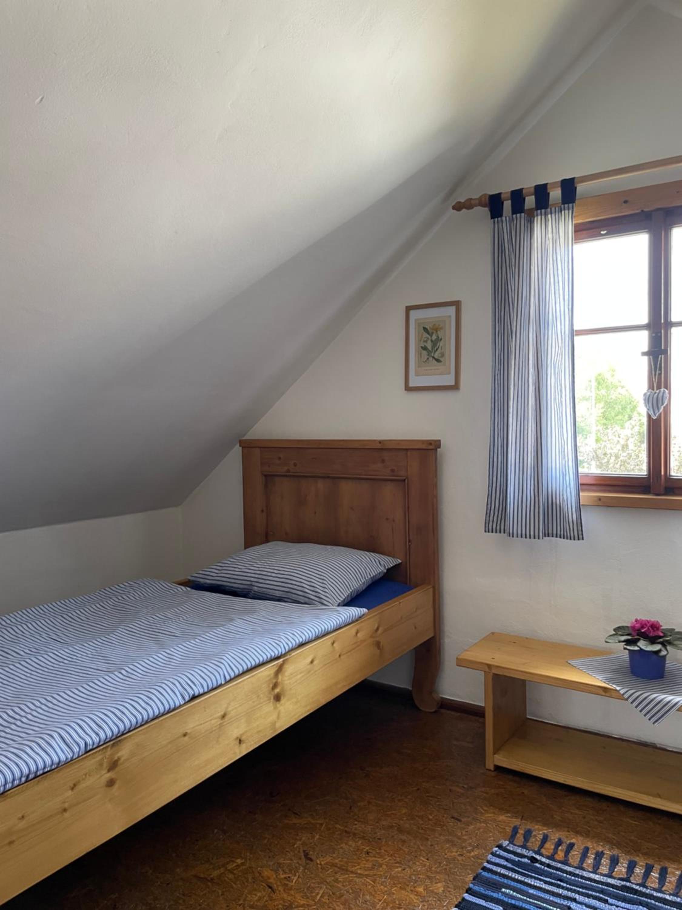 Apartmán U Růži