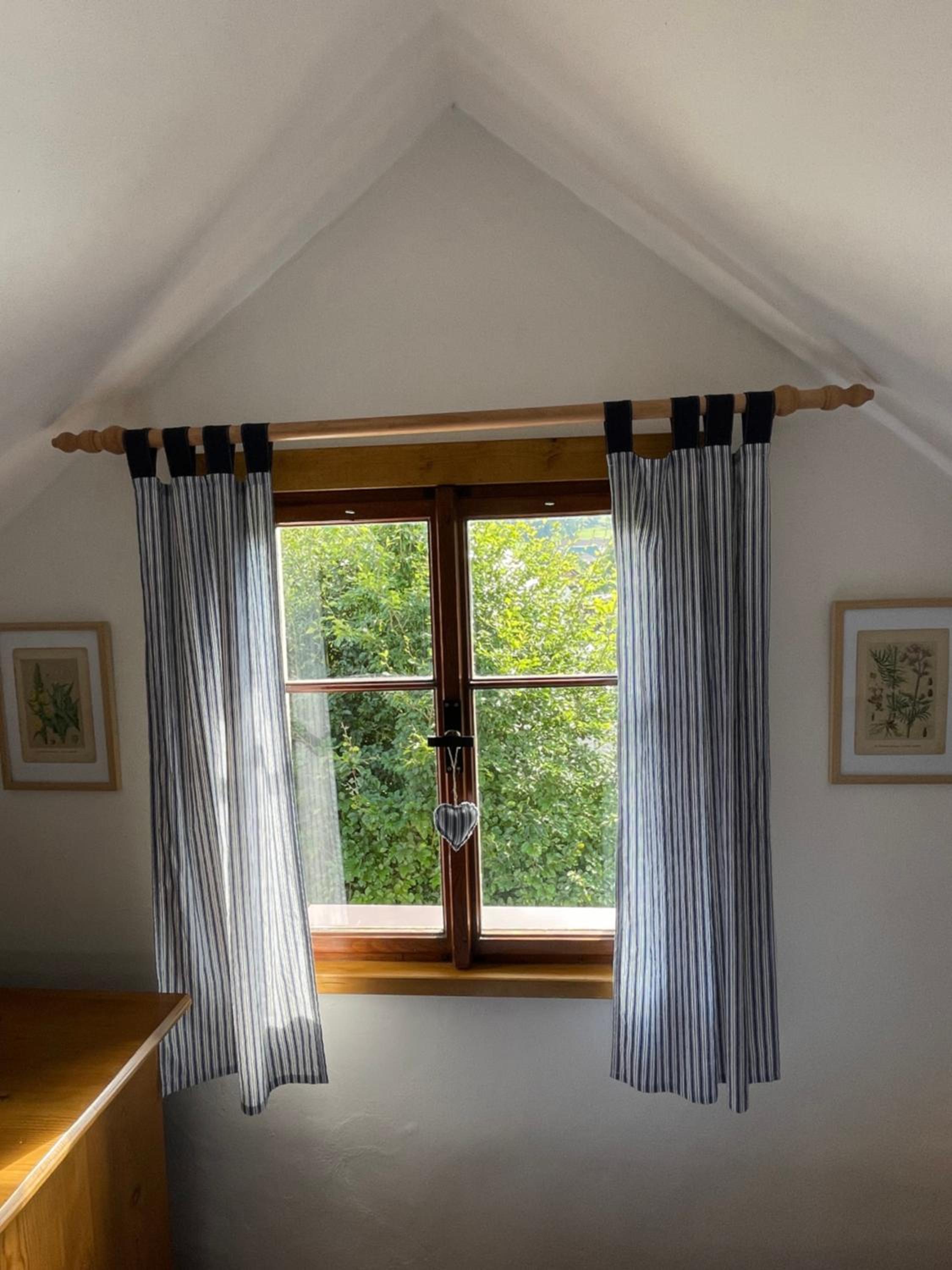 Apartmán U Růži