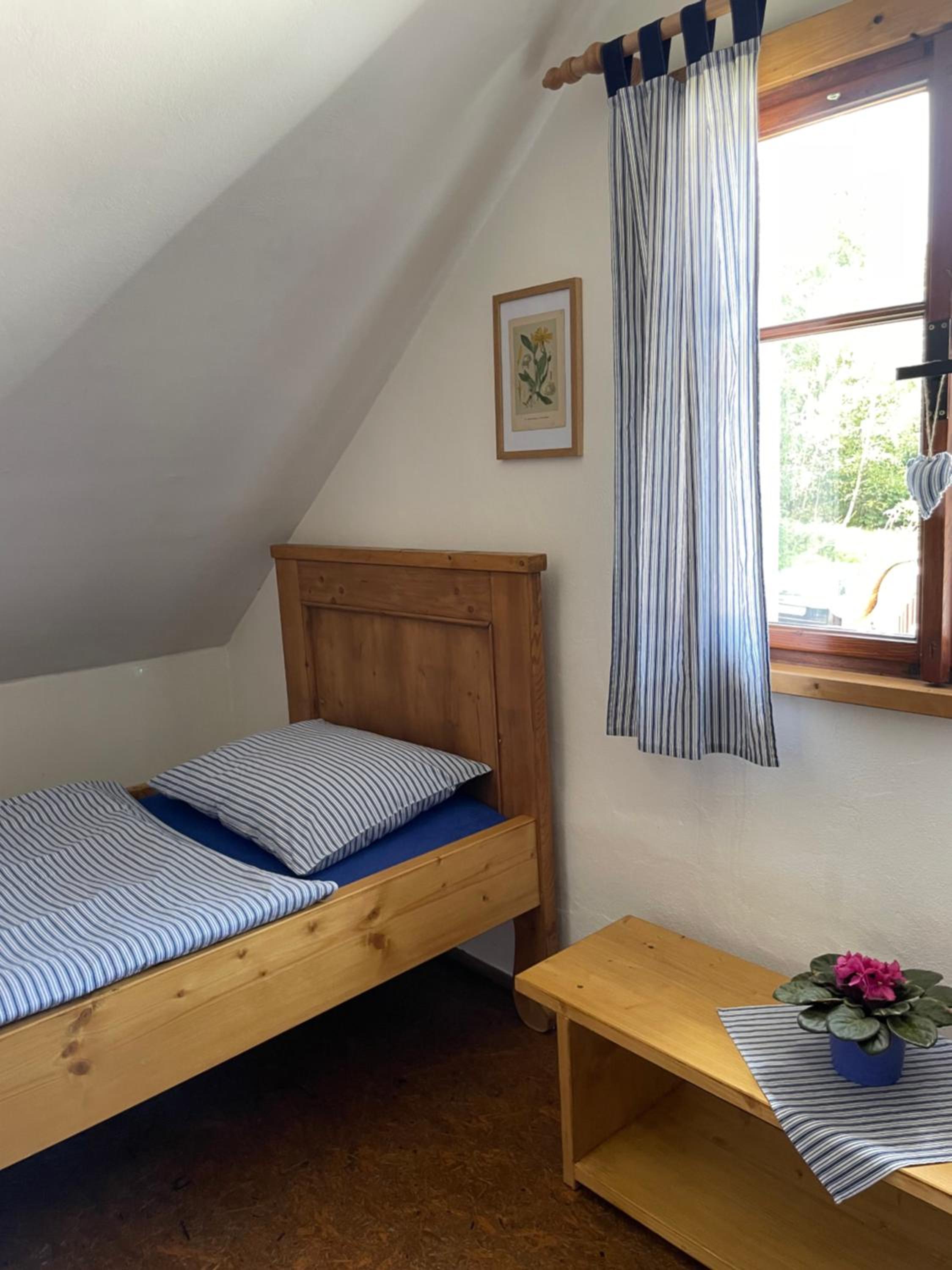 Apartmán U Růži