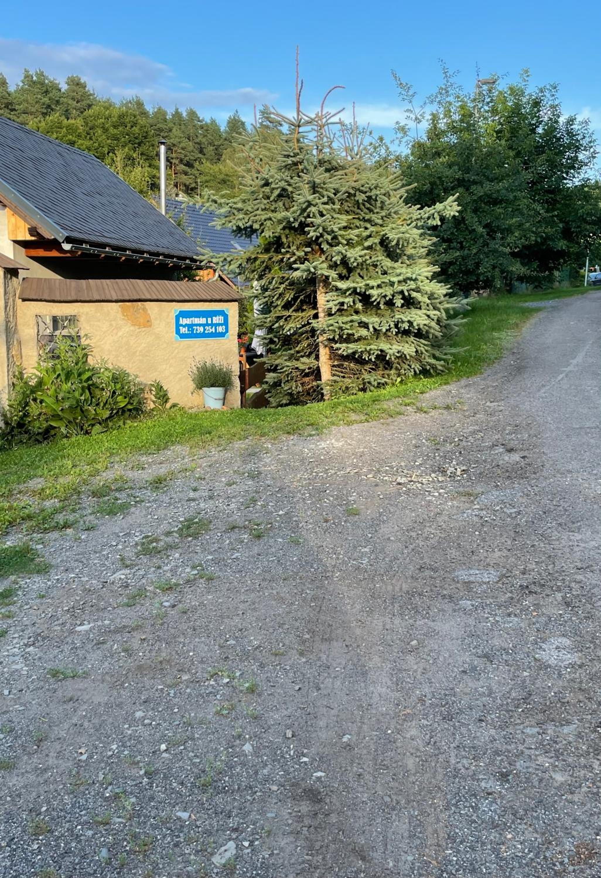Apartmán U Růži