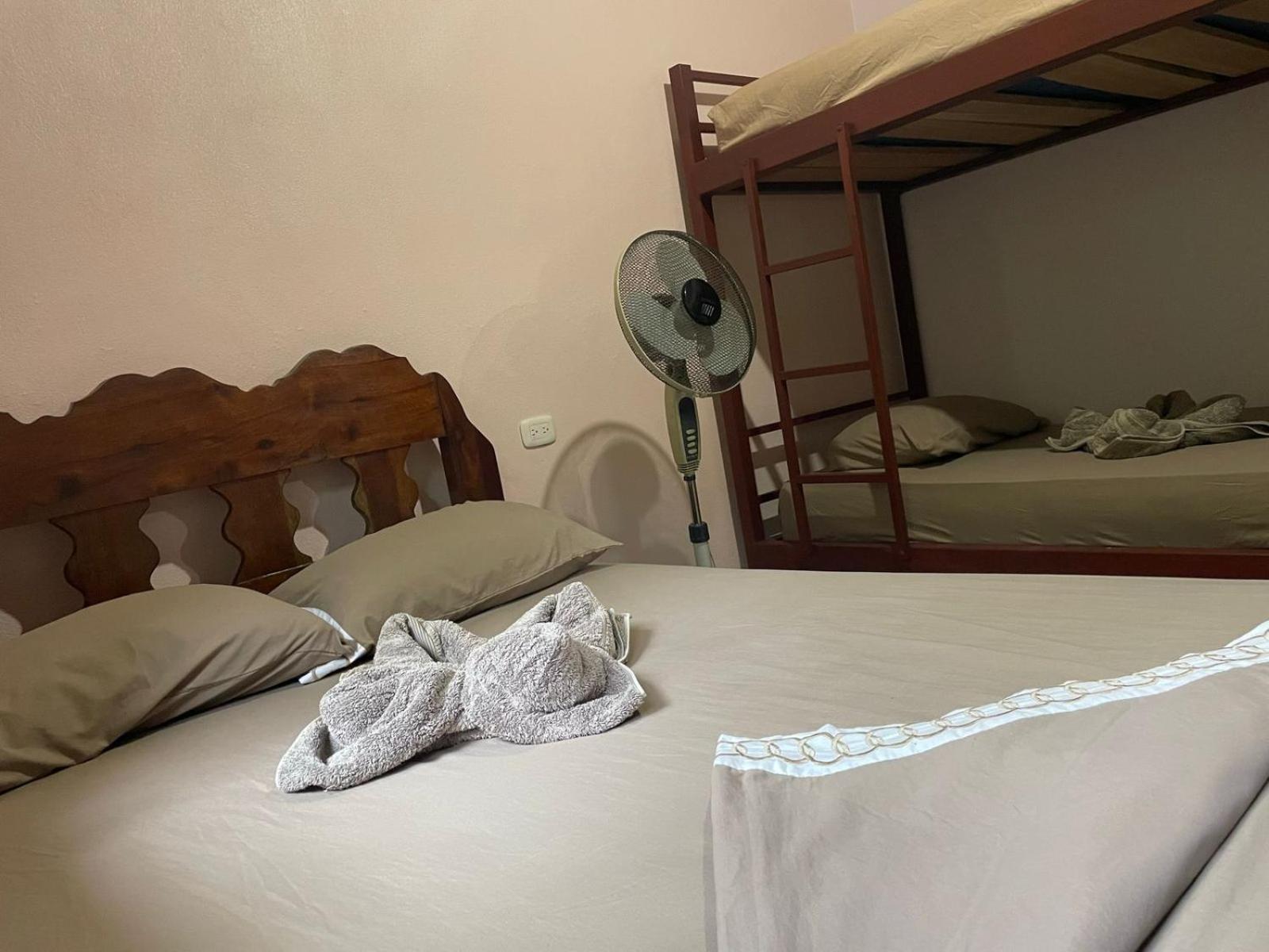 Apartamentos Caligo de Osa