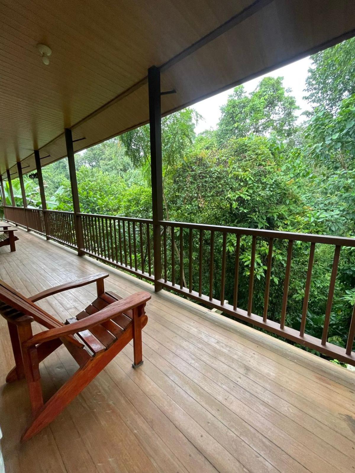 Apartamentos Caligo de Osa