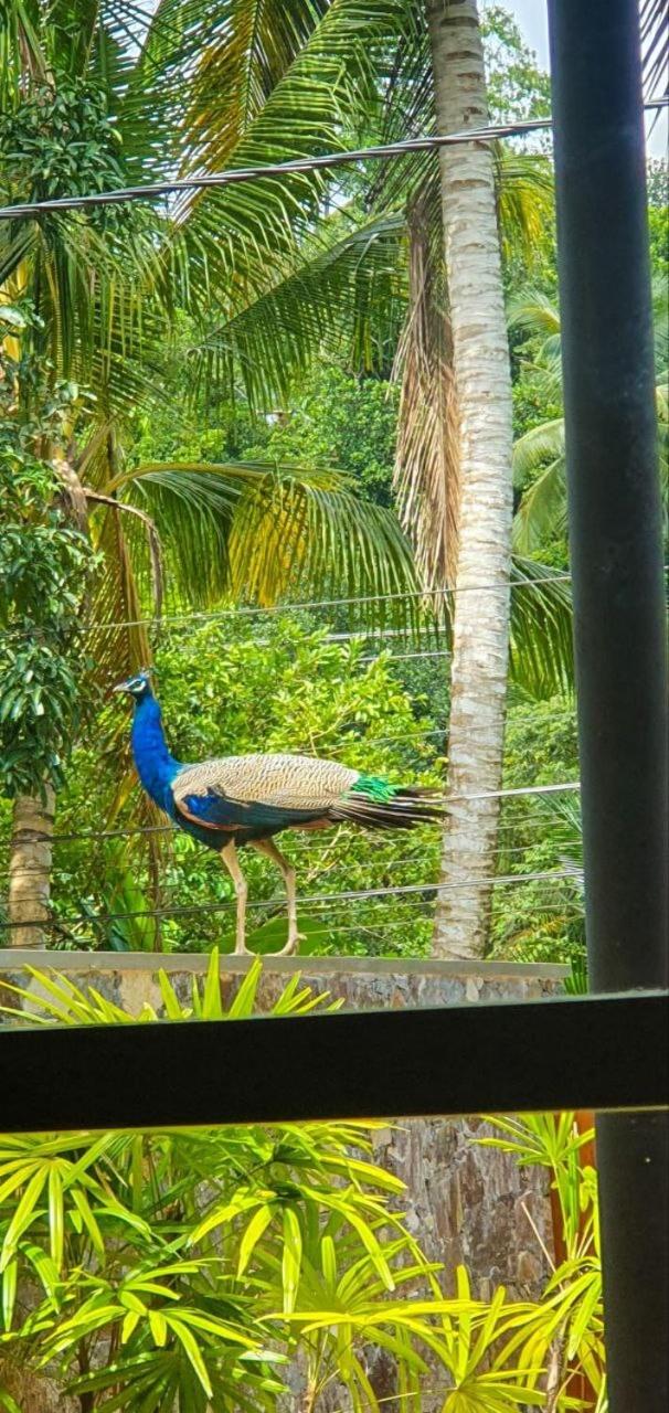 Avera Hills Villas Unawatuna