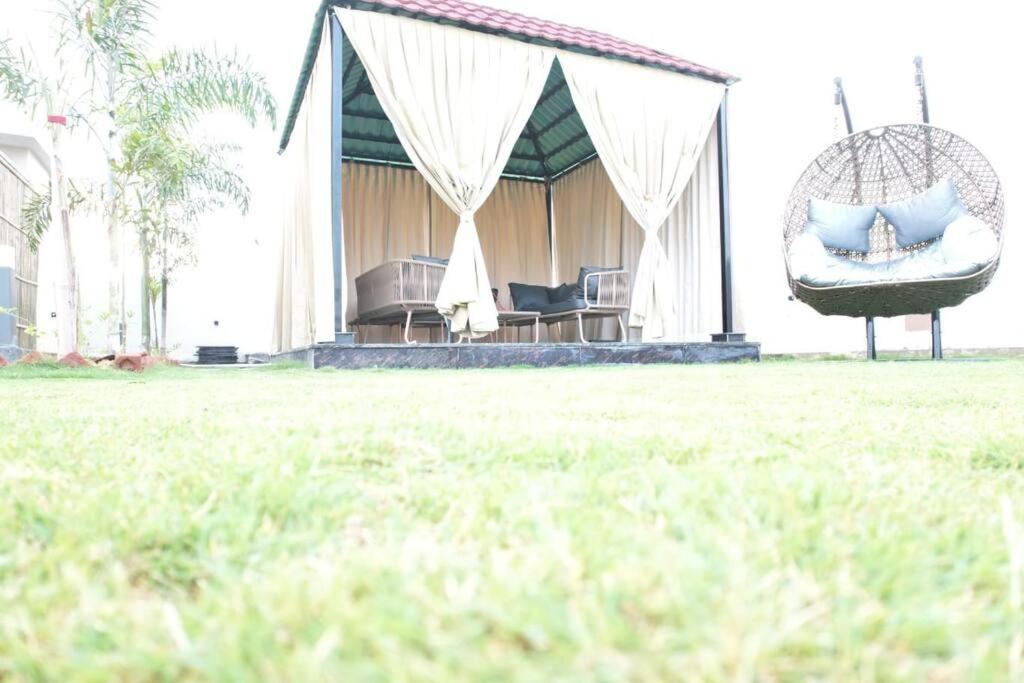 My Farm Party in style view 5