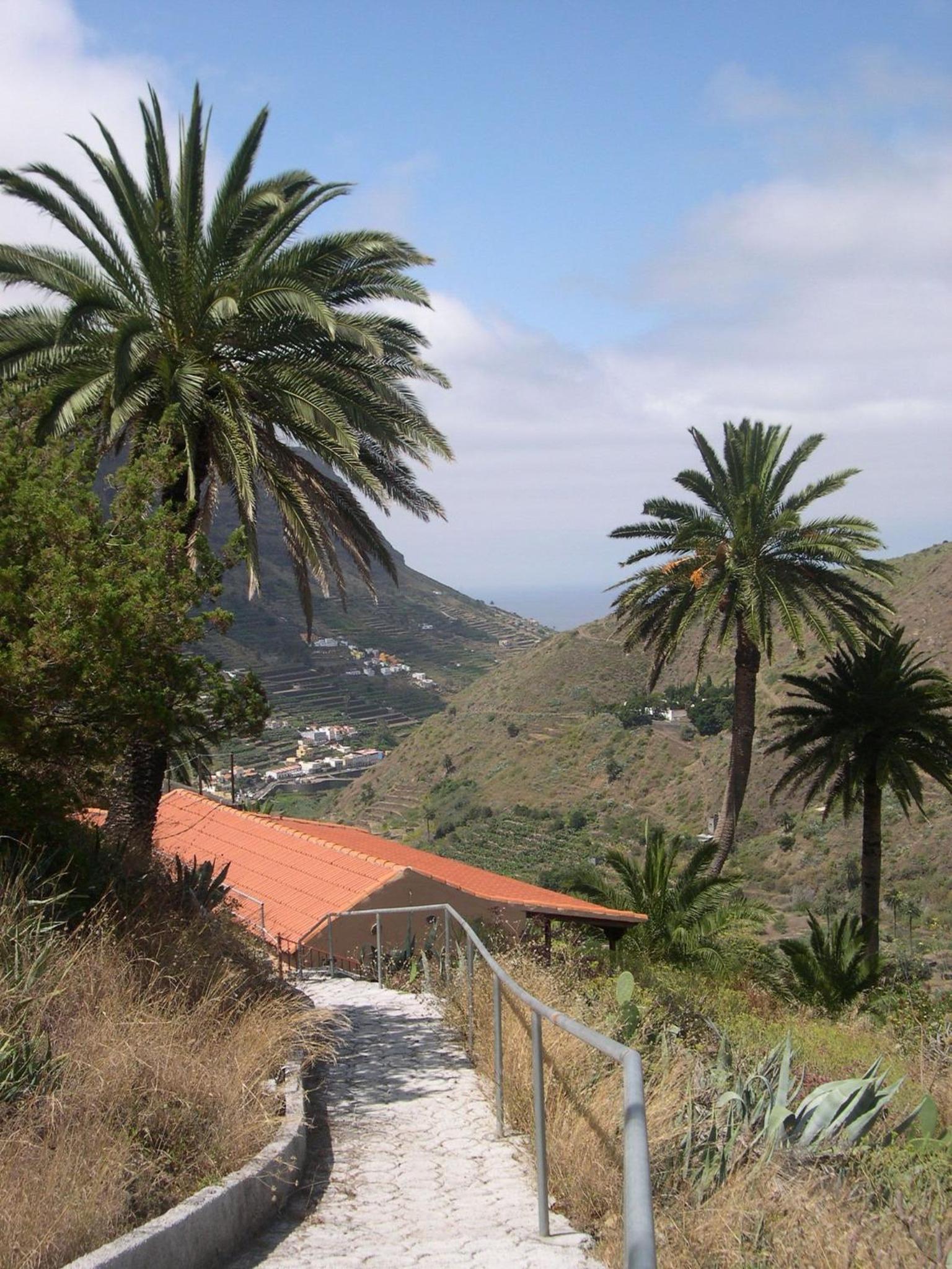 Photo 21