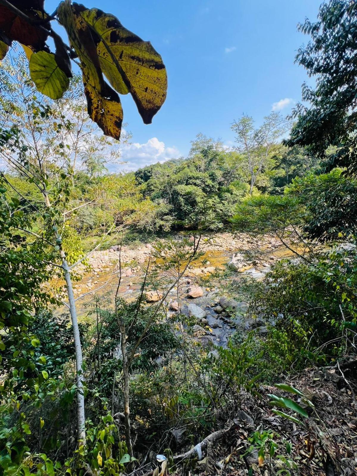 La Cabaña del León view 4