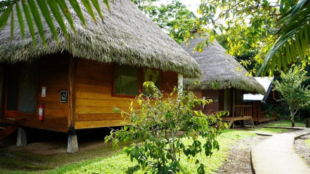 Amazon Lodge Pompeya view 4