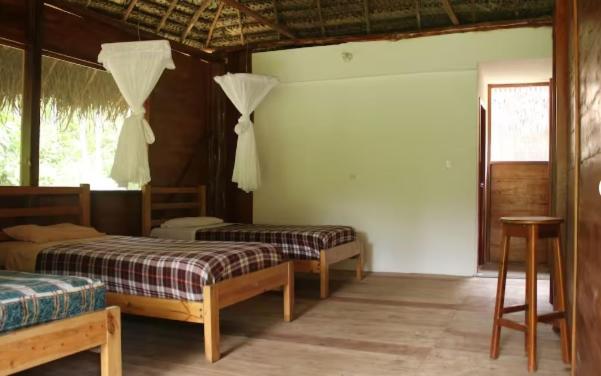 Amazon Lodge Pompeya view 2