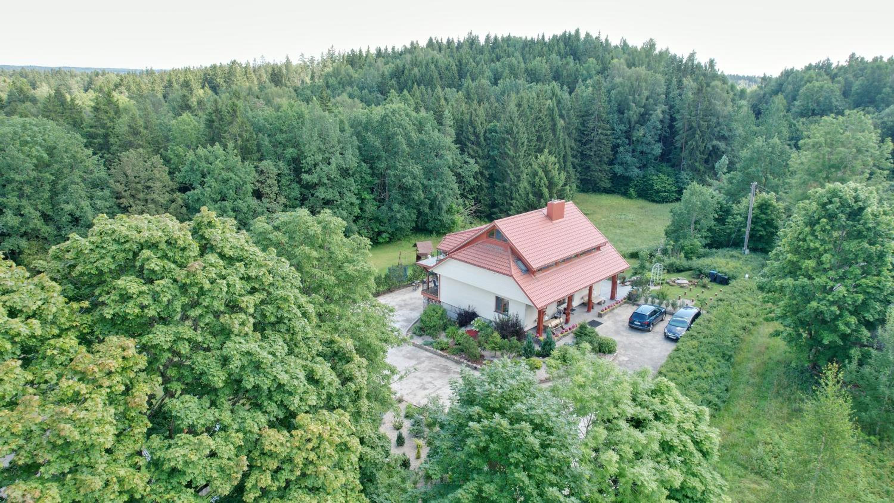 Svirnelis