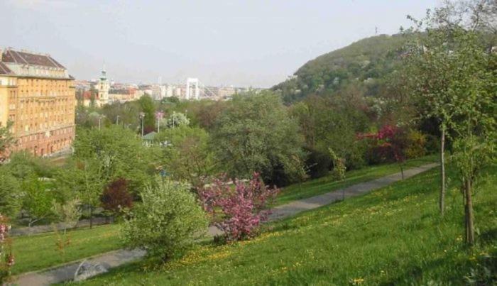 Naphegy Apartments