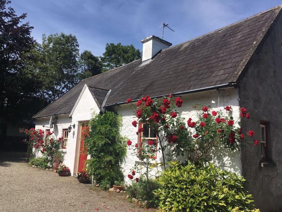 O'Neill's Self Catering Cottage- close to Cashel view 2