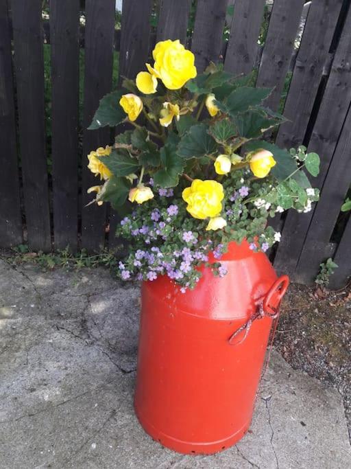 Photo 29