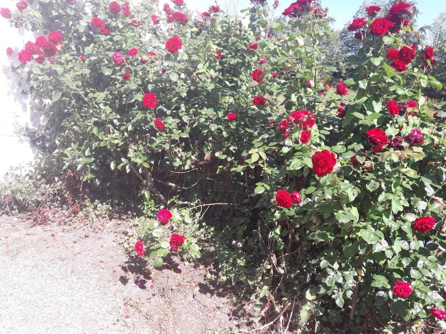 Photo 30