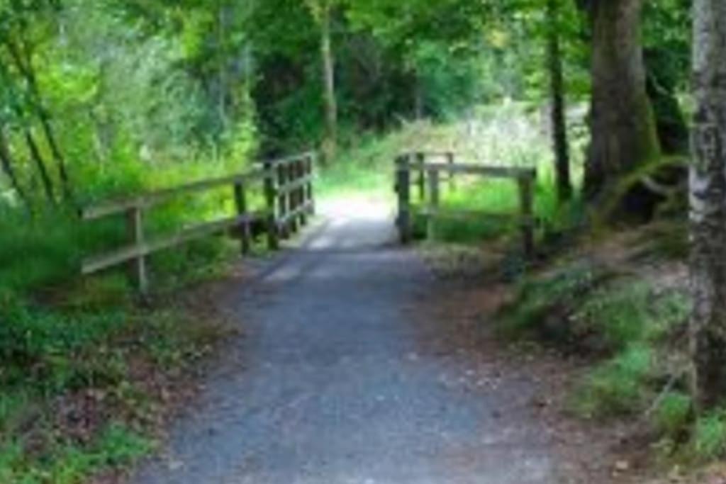 Photo 45