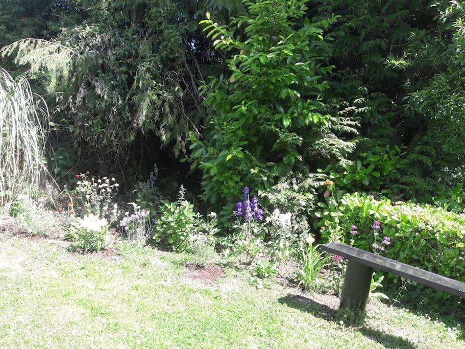 Photo 32