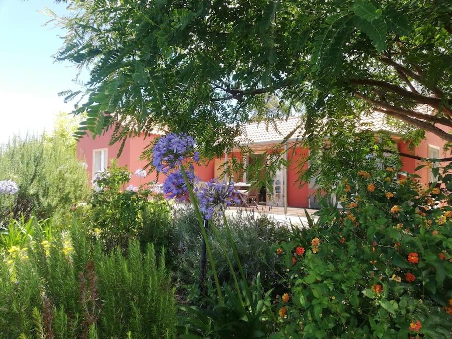 Ferienhaus Finca Sonrisa