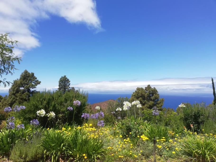 Ferienhaus Finca Sonrisa