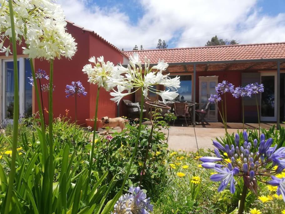 Ferienhaus Finca Sonrisa