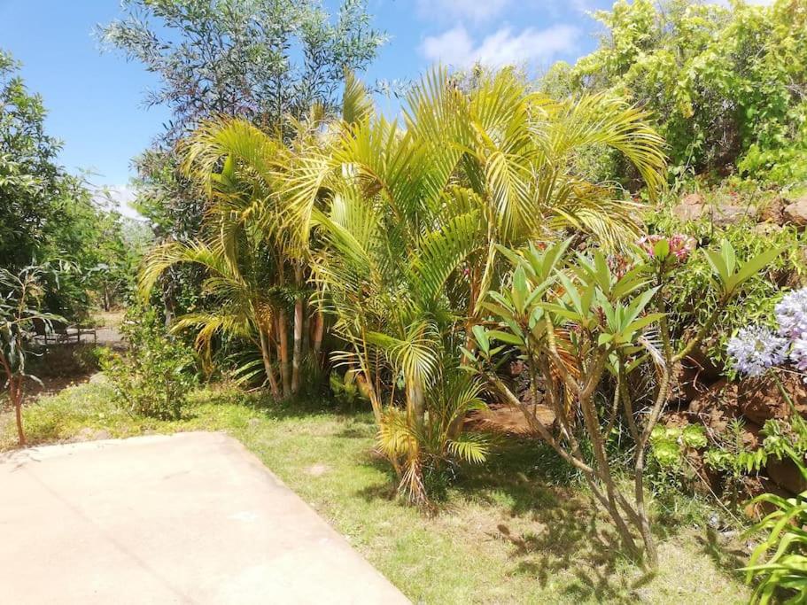 Ferienhaus Finca Sonrisa