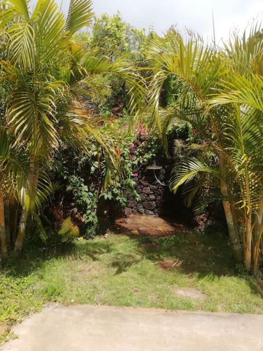 Ferienhaus Finca Sonrisa