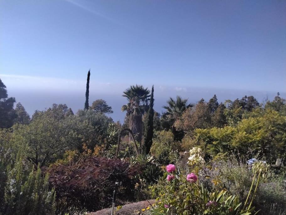 Ferienhaus Finca Sonrisa