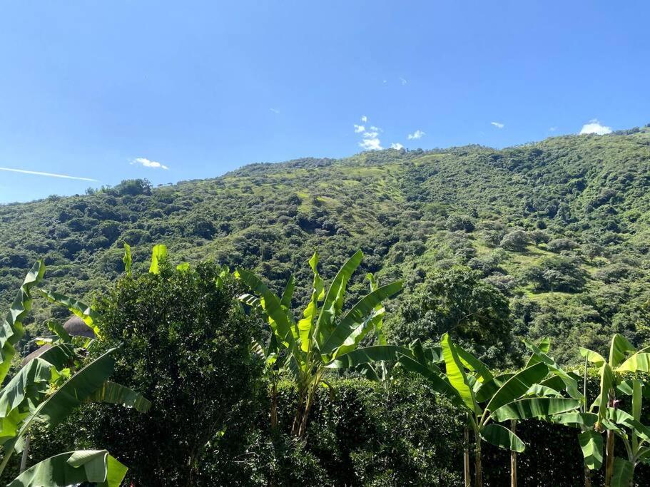 Finca con Piscina Privada
