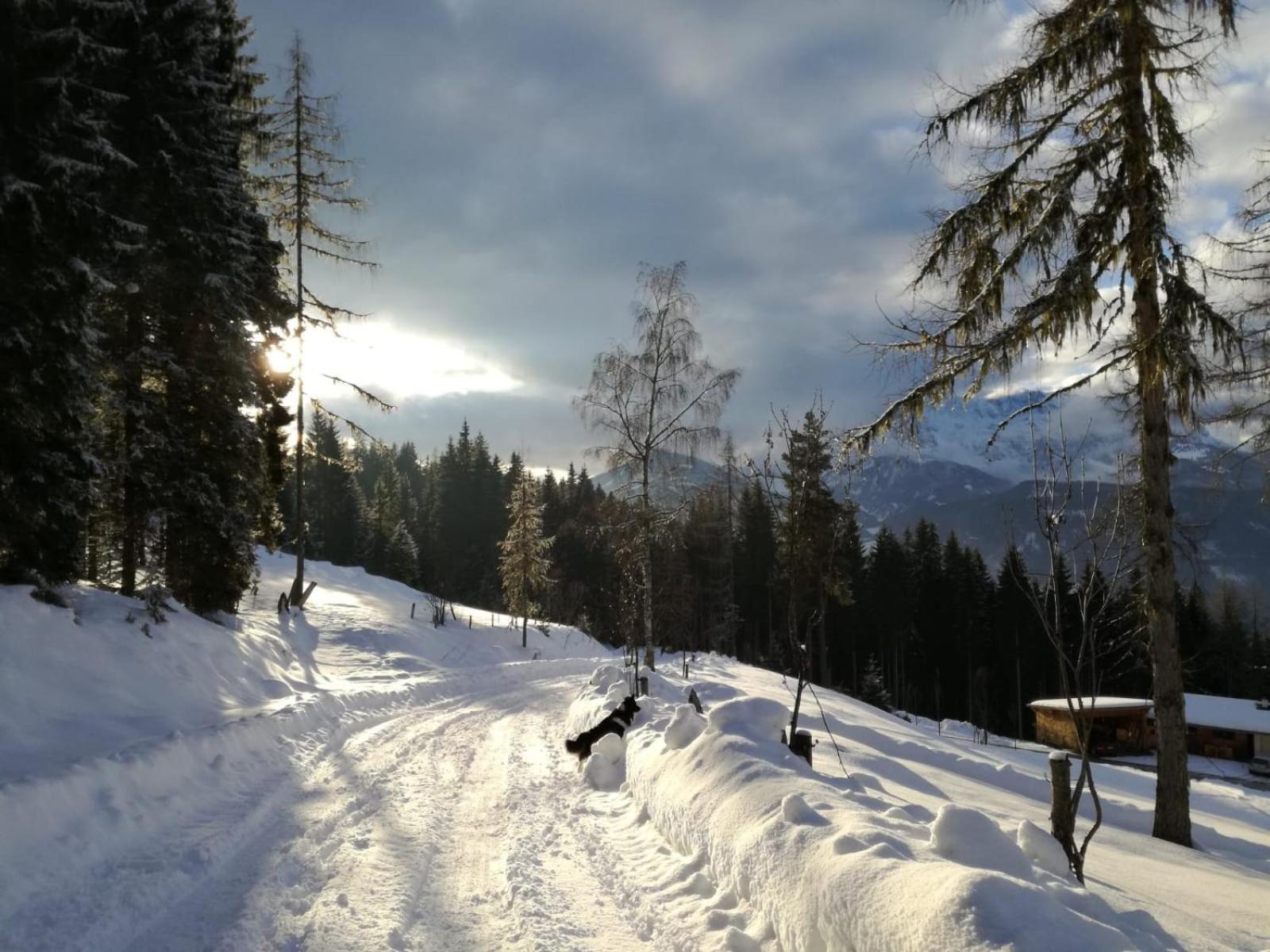 Panorama Chalet mit Sauna Höllmaishof
