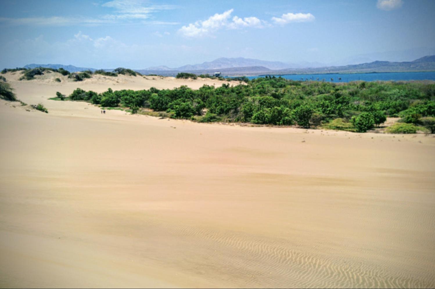 Photo 44