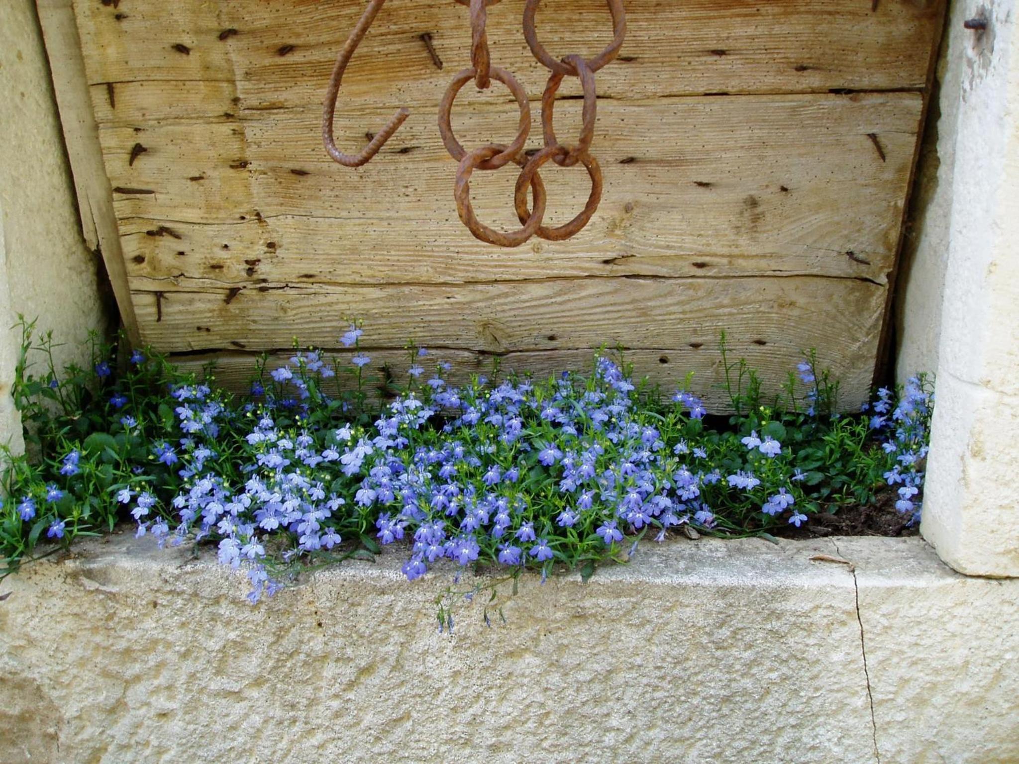 Photo 35