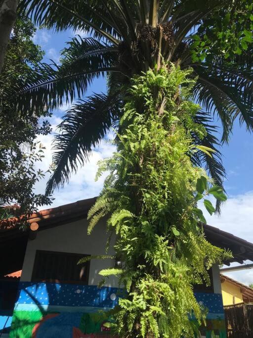 Casa do Bosque - Caraíva