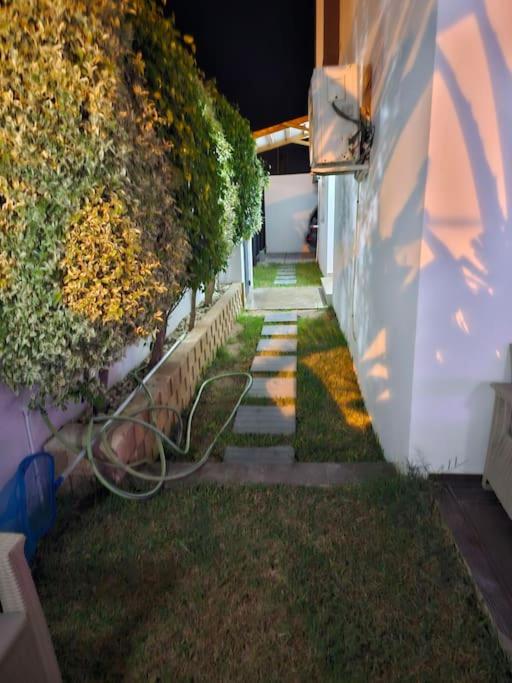Photo 44