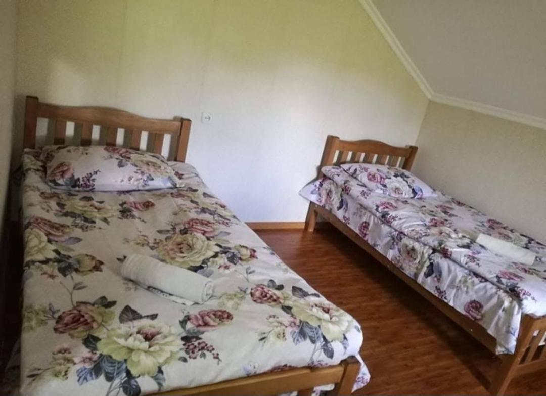 Lia's Guest house Tsvirmi view 2