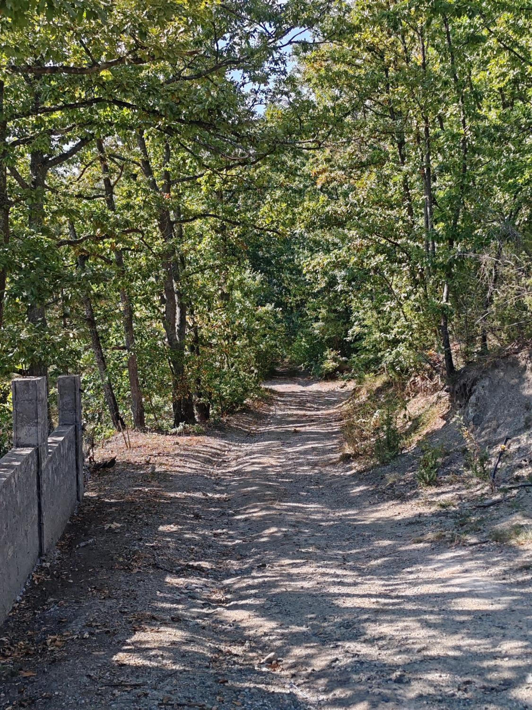 Seoski Turizam Feniks apartman Davidovi Psalmi