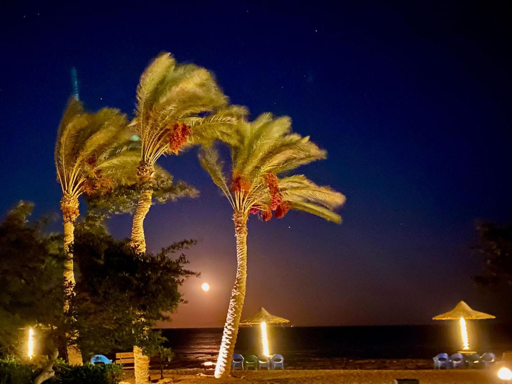 Studio with pool view at Bella Vista resort sokhna view 2