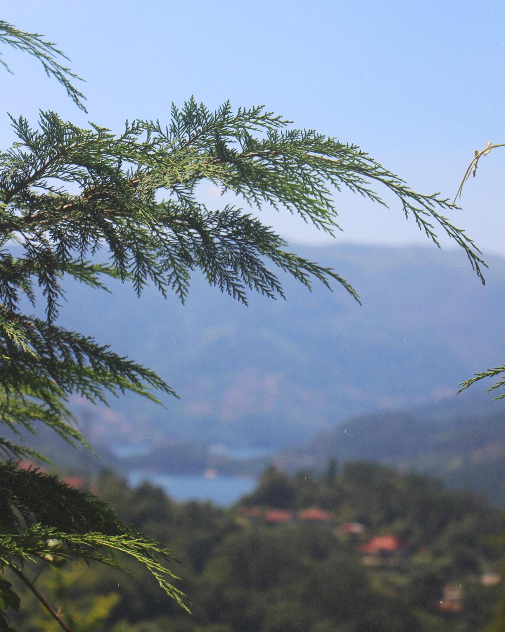 Gerês - Aldeia Turística de Louredo