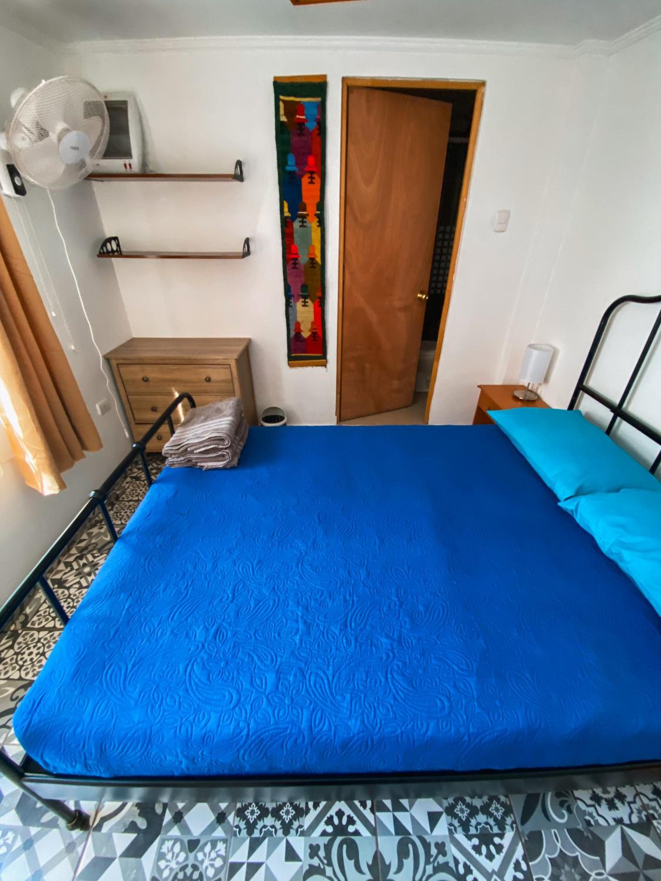 Rey Lagarto Hostel