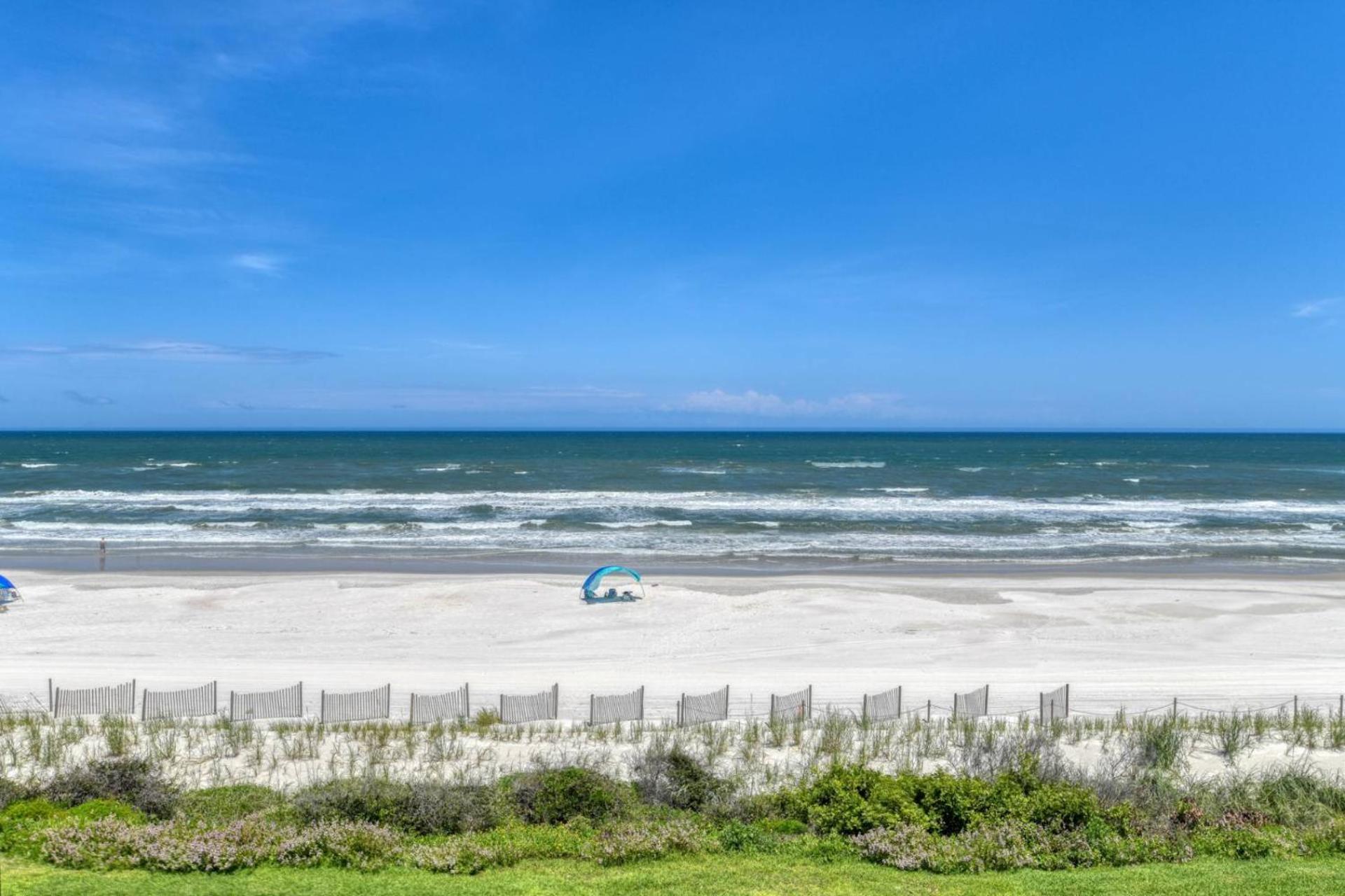 Sand Dollar 306
