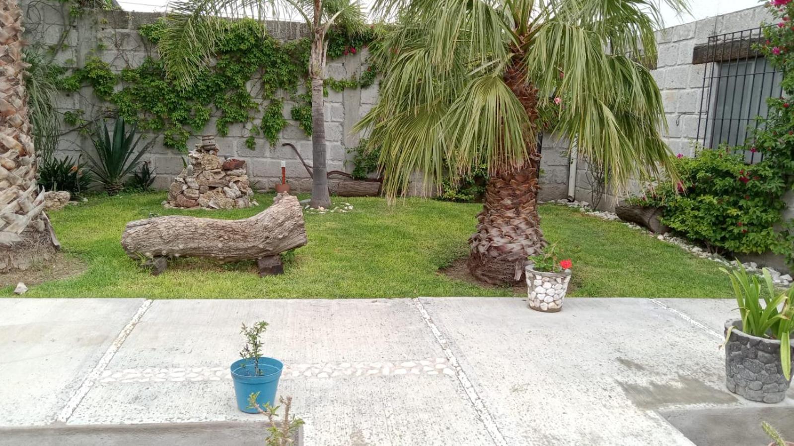 Photo 21