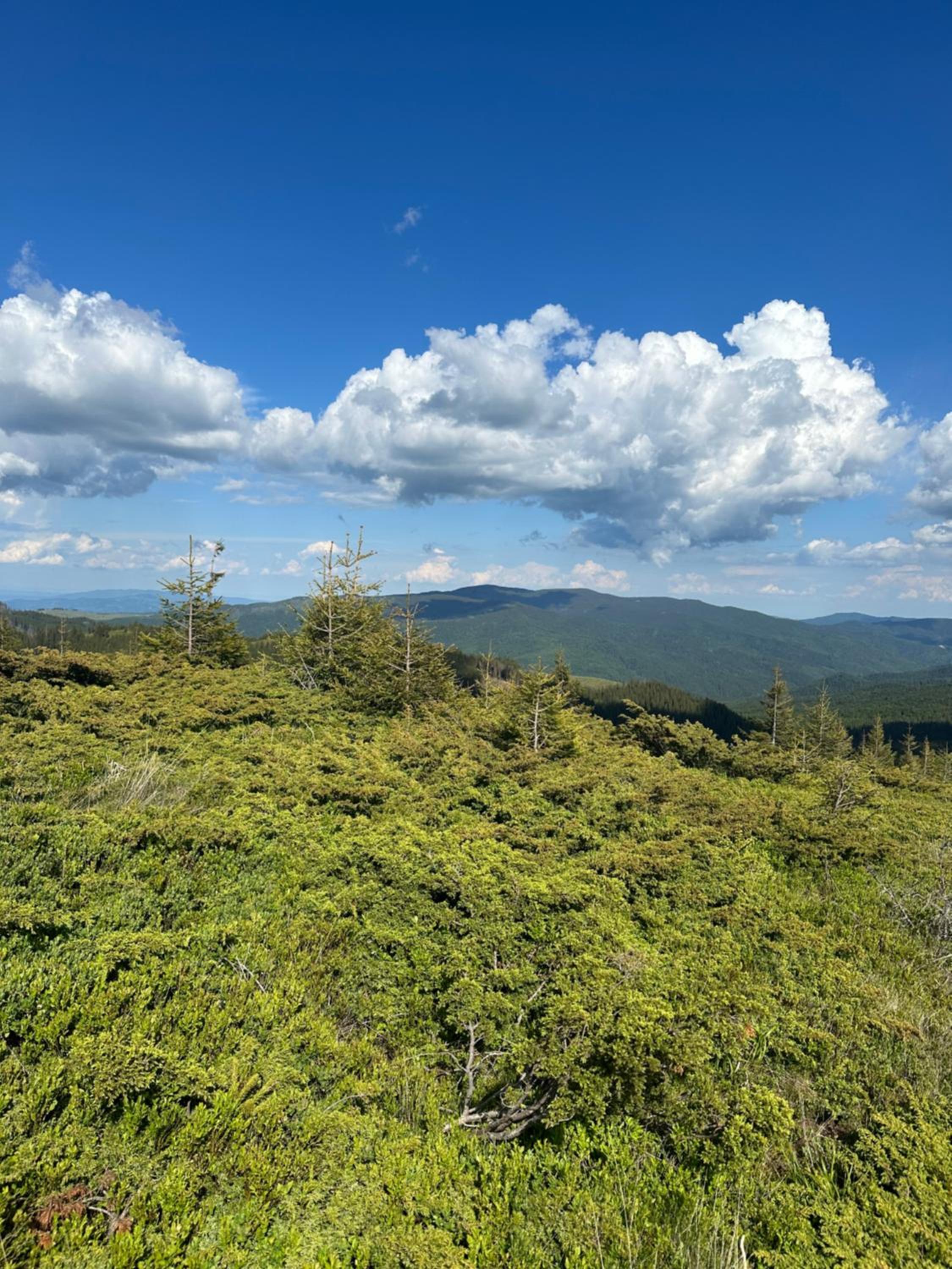 CabanA Comandău