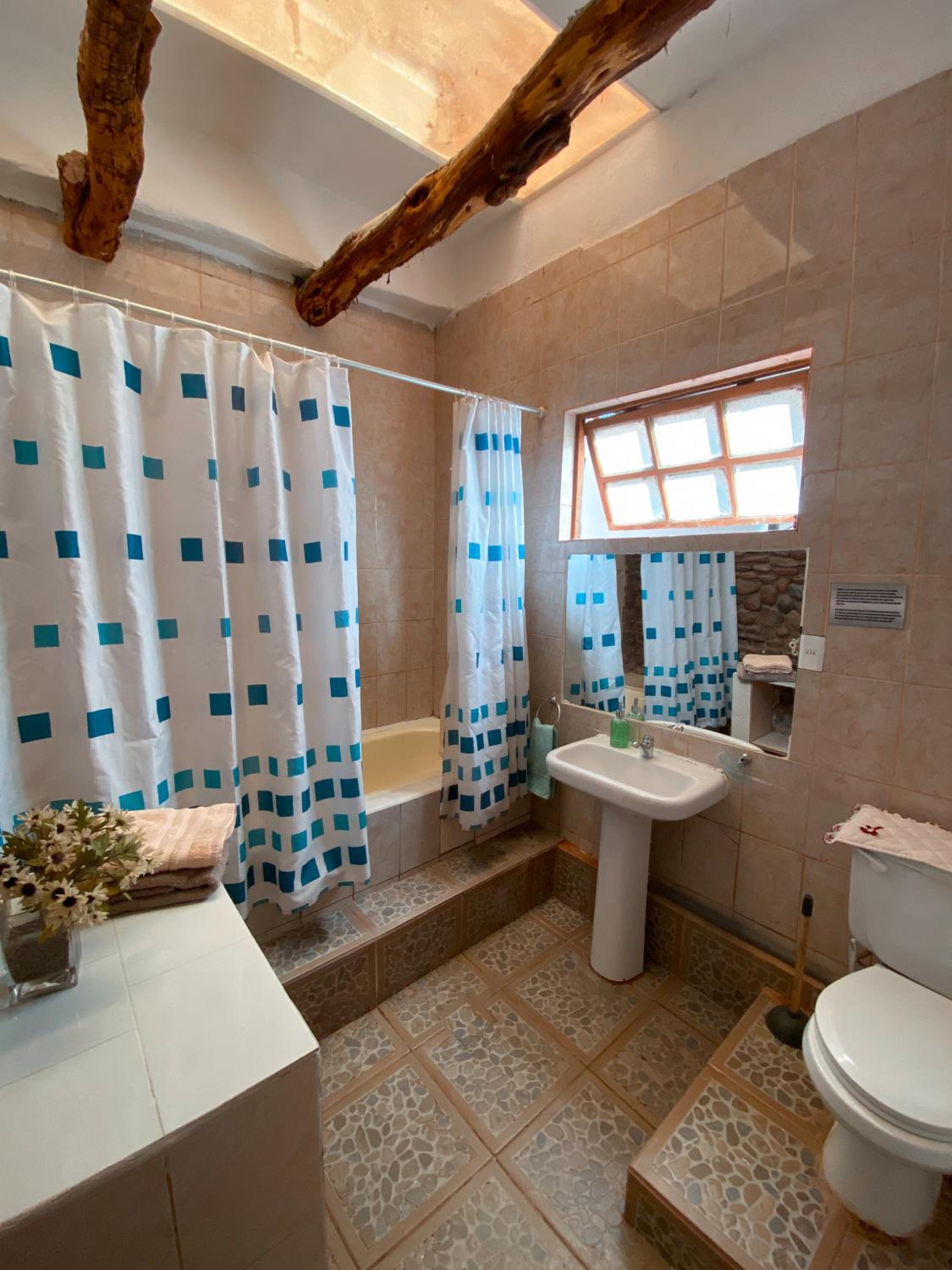 Rey Lagarto Hostel