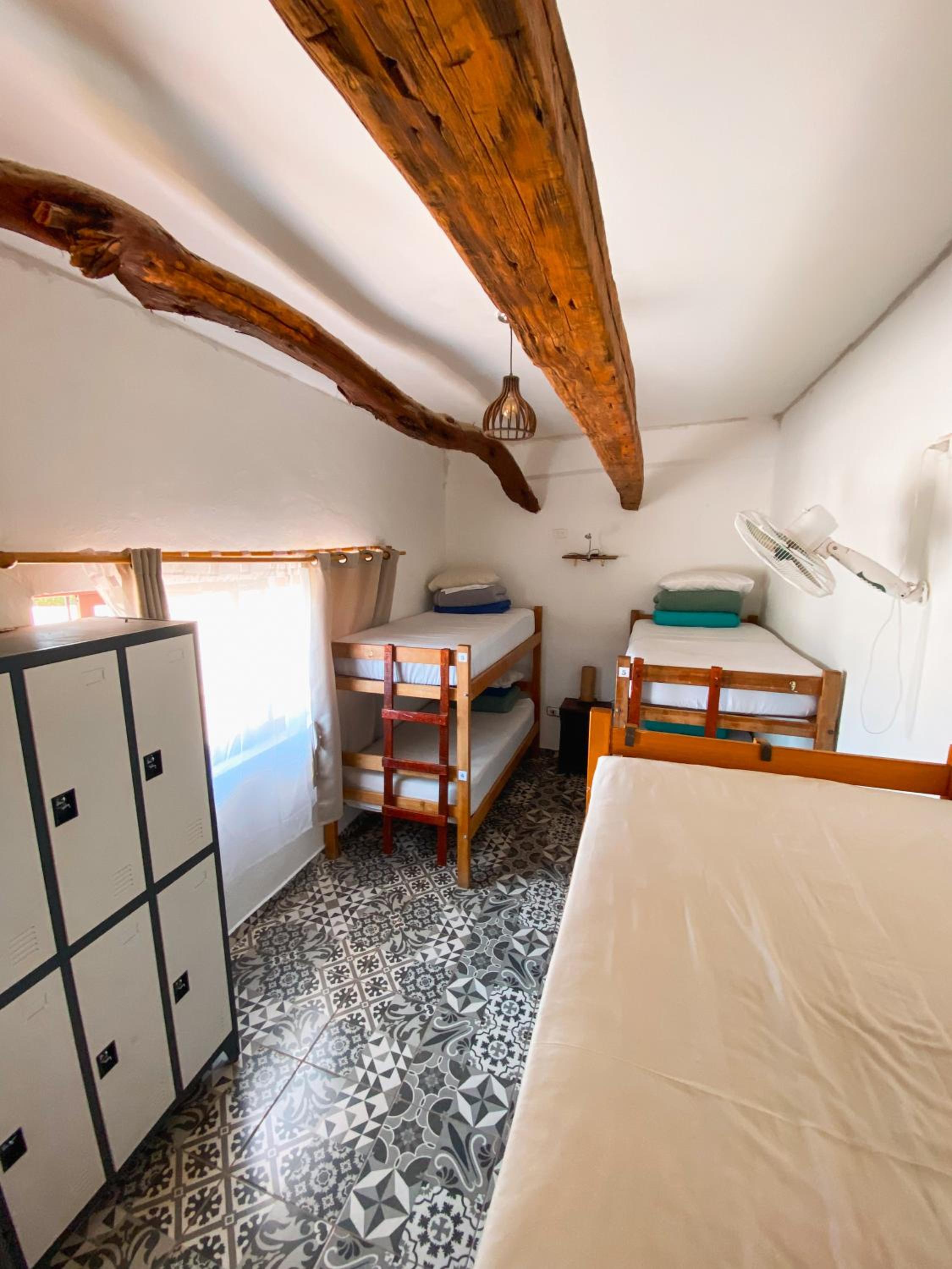 Rey Lagarto Hostel