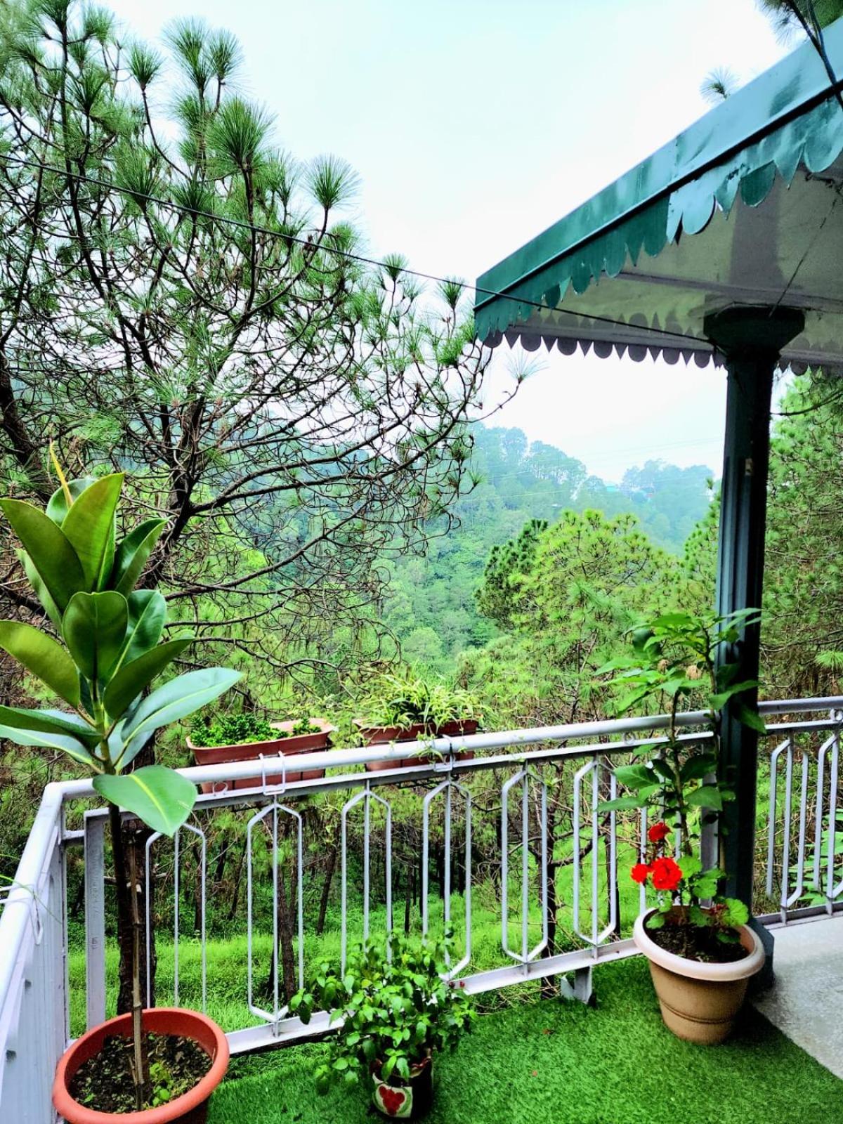 Brookwood Manor Home Stay view 2