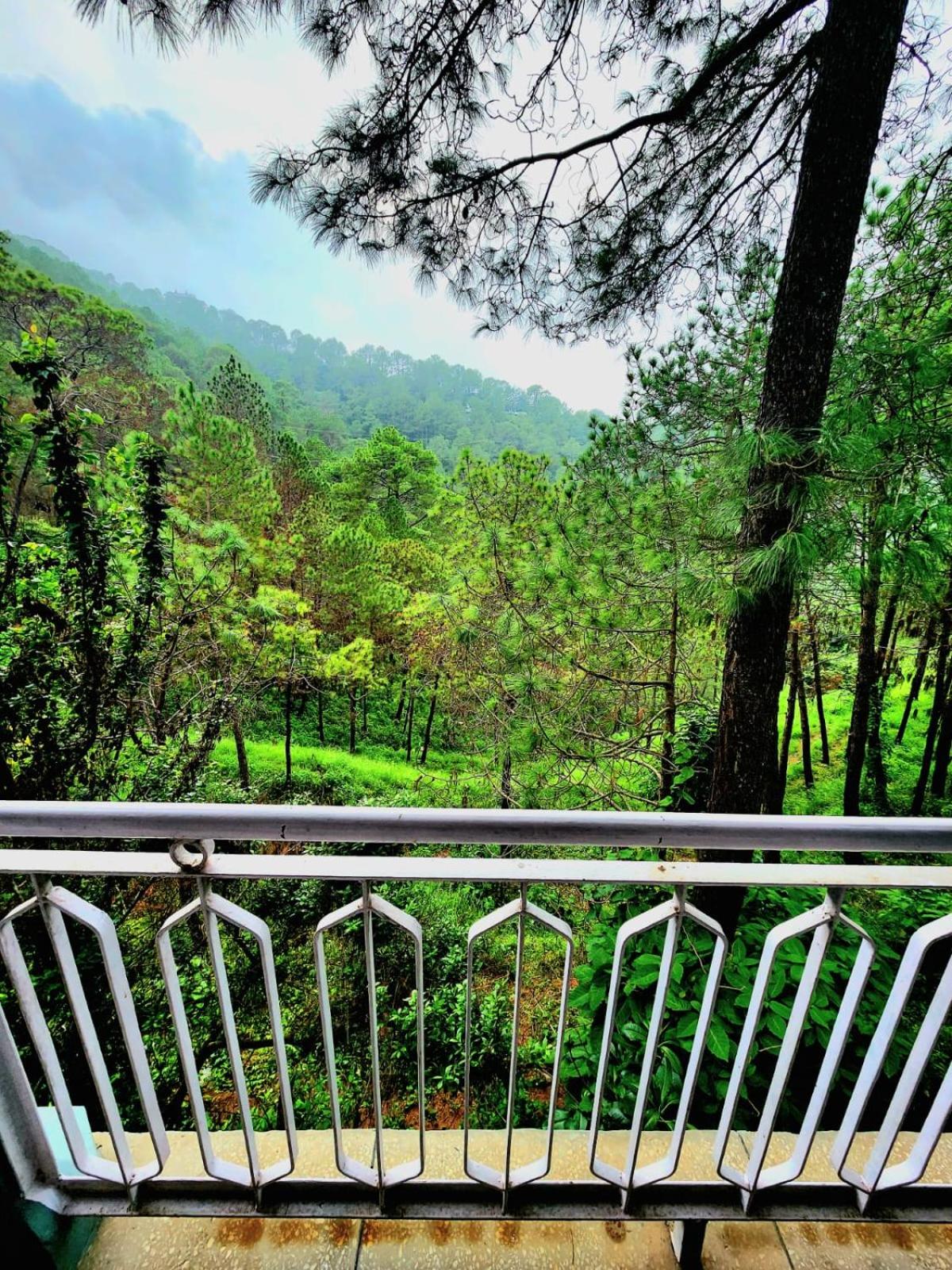 Brookwood Manor Home Stay view 3