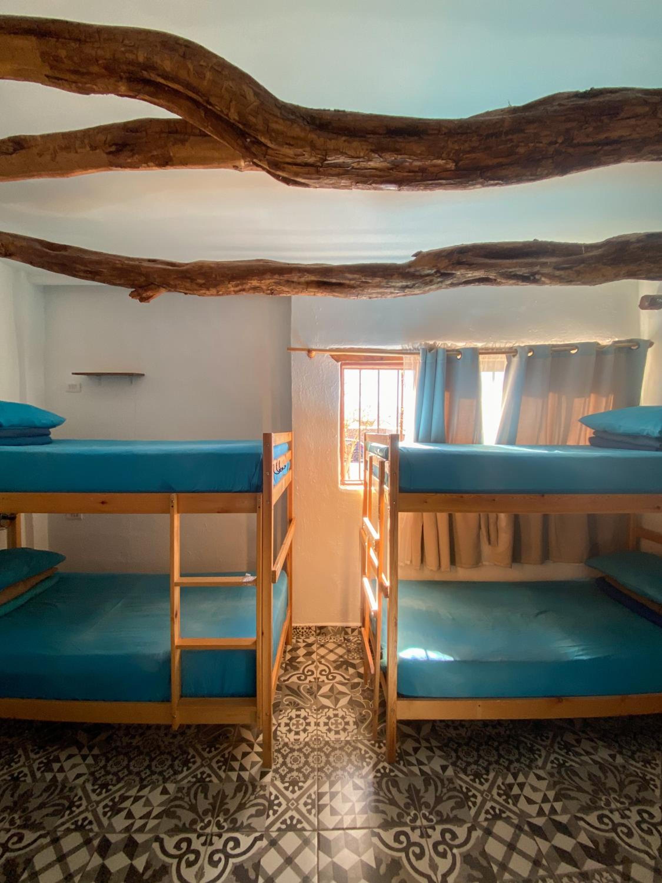 Rey Lagarto Hostel