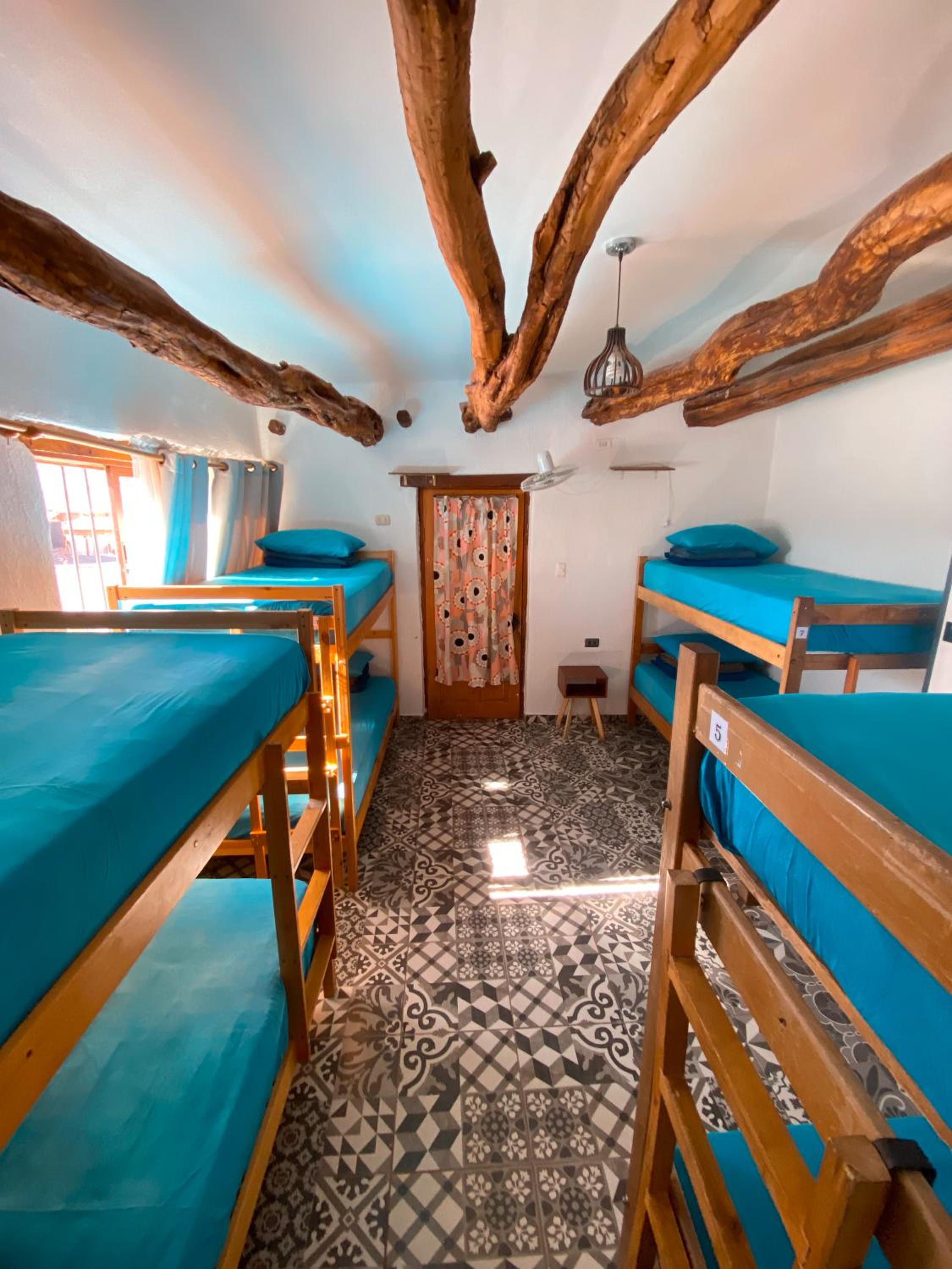 Rey Lagarto Hostel