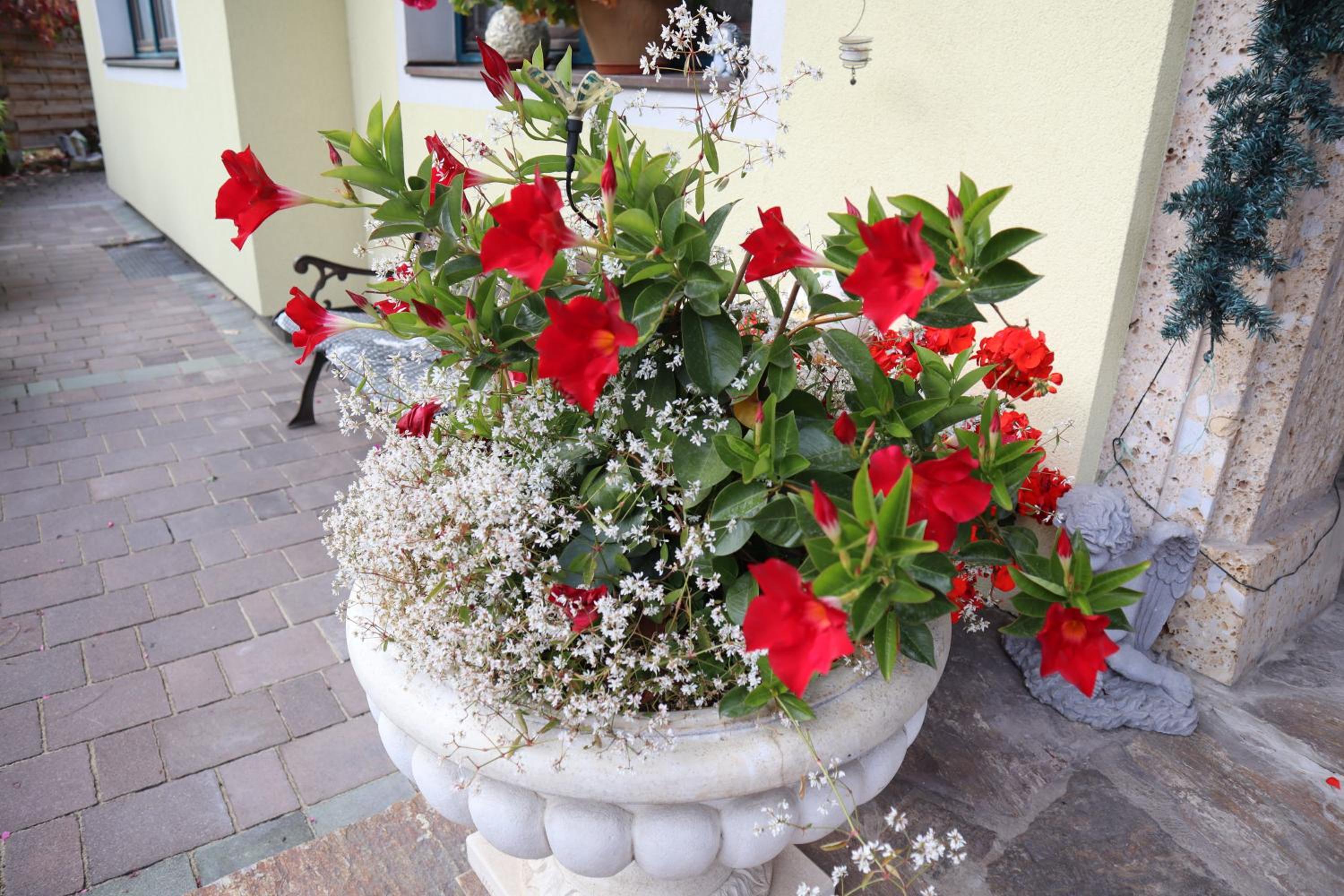 Landhaus-Appartements Warraich