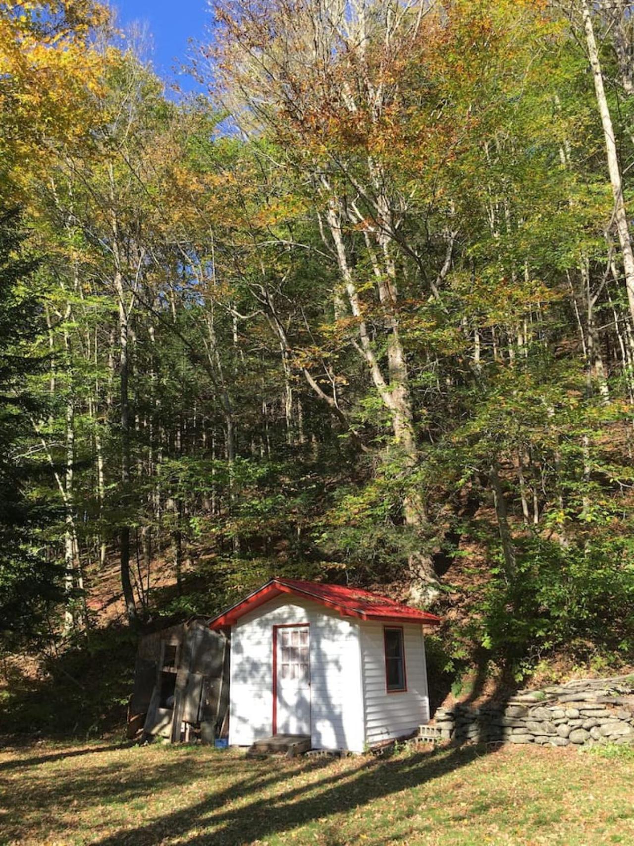 Catskill Cabin Duplex Apartment