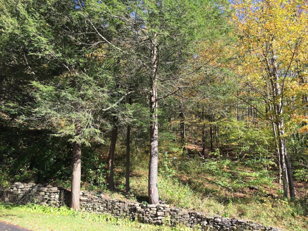 Catskill Cabin Duplex Apartment