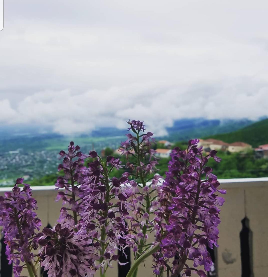 Guest House Maria view 2